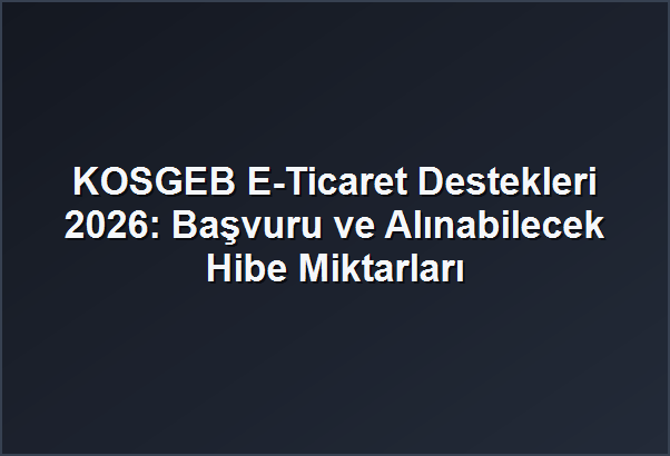 KOSGEB E-Ticaret Destekleri 2026: Başvuru ve Alınabilecek Hibe Miktarları